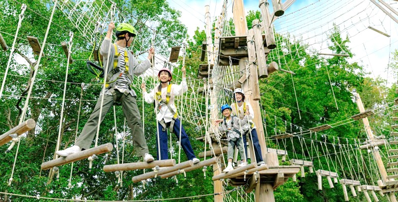 Gia đình chinh phục Lâu đài Trên không.