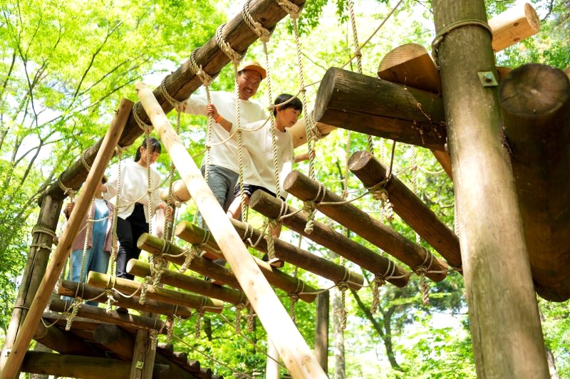 Công viên Shimizuike: Nơi cuộc sống Meguro nhộn nhịp.