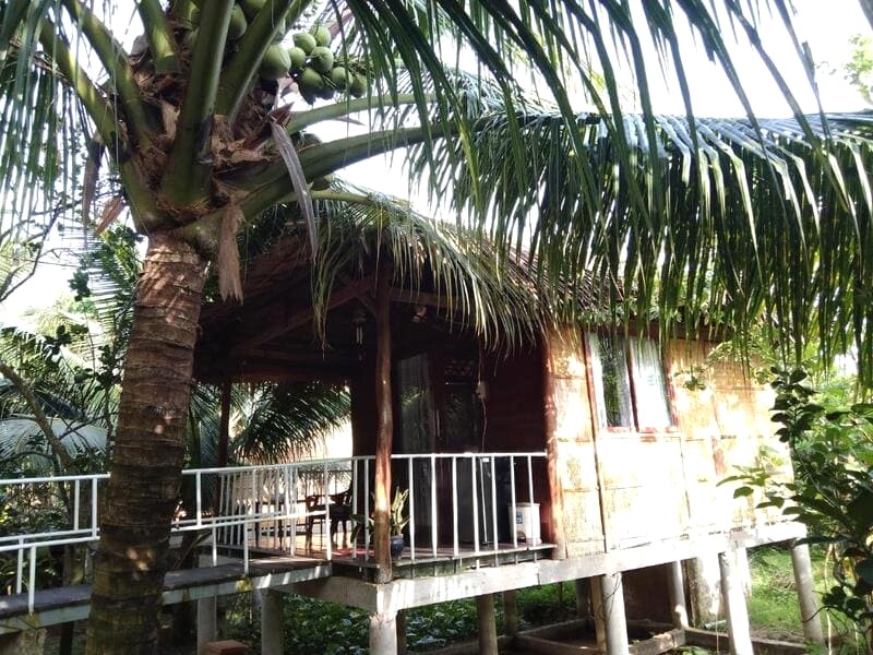 Quốc Phương Riverside Homestay ở Bến Tre có hồ bơi ngoài trời thoáng đãng.