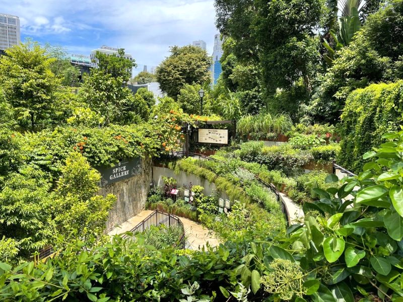 Yên bình xanh mát tại Fort Canning Park.