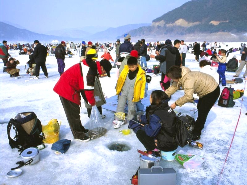 Lễ hội câu cá hồi Pyeongchang: độc đáo trên sông băng. (Ảnh: Báo Thái Bình)