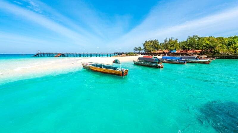 Zanzibar: Bãi biển đẹp, rạn san hô rực rỡ.