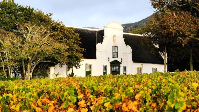 Groot Constantia: Nơi rượu vang lâu đời, điểm tham quan nổi tiếng.