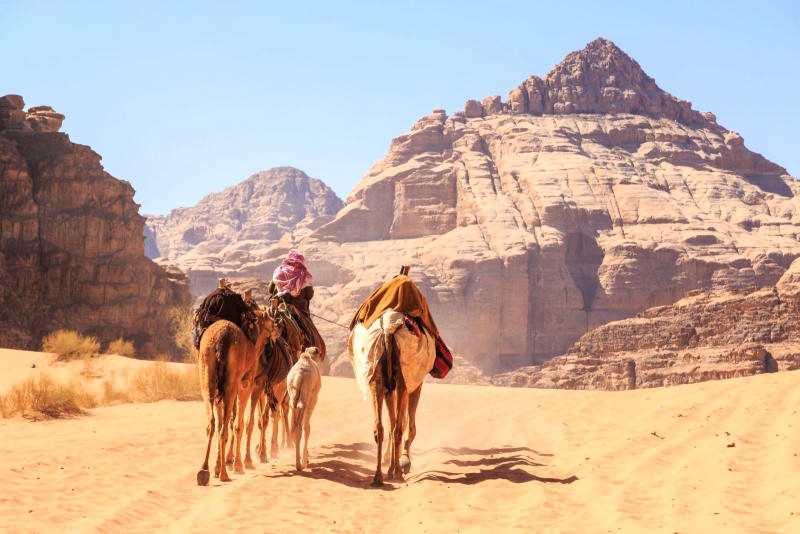 Cưỡi lạc đà ngắm bình minh, hoàng hôn Wadi Rum - trải nghiệm tuyệt vời!