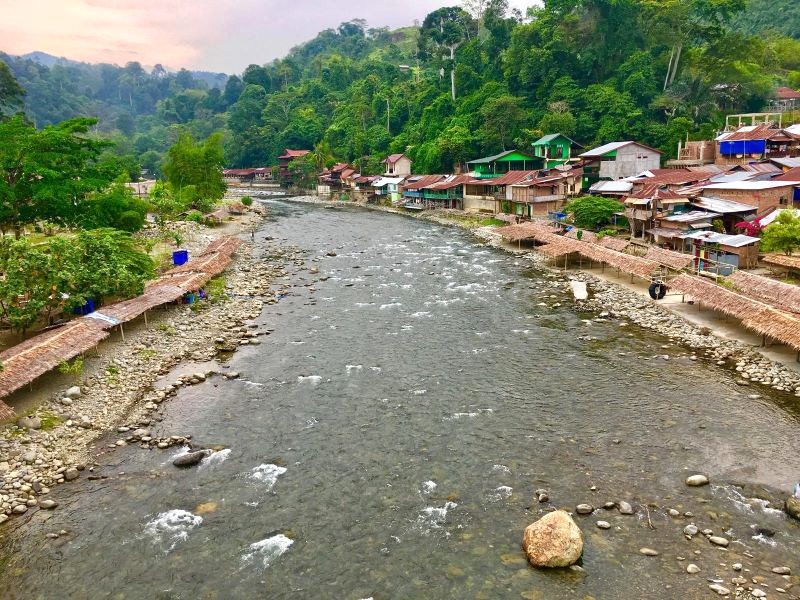 Bukit Lawang: Nằm cạnh rừng Gunung Leuser, bên dòng suối mát lành.