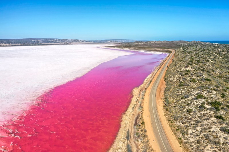 Khám phá Hutt Lagoon ở Úc, nơi sắc hồng ấn tượng của hồ nước sẽ khiến bạn say đắm. (Ảnh: electra/Shutterstock)