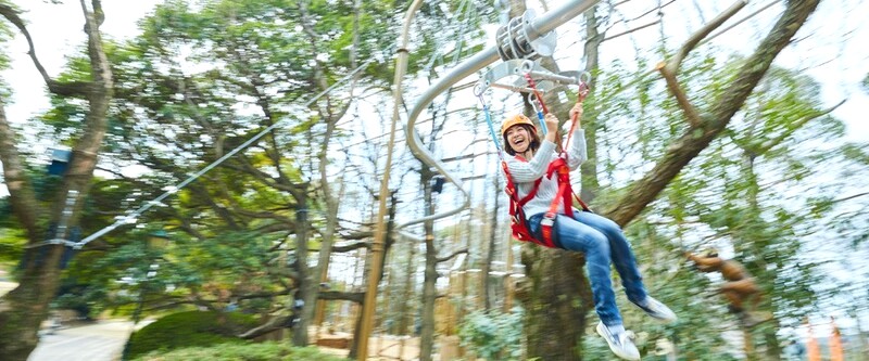 Bay cùng Sky Rail Coaster!