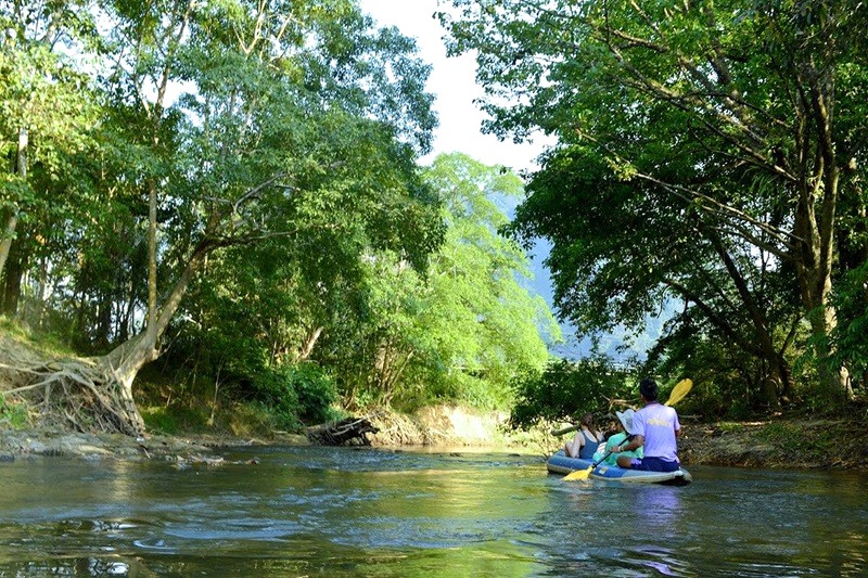 Khám phá công viên bằng kayak trên hồ.