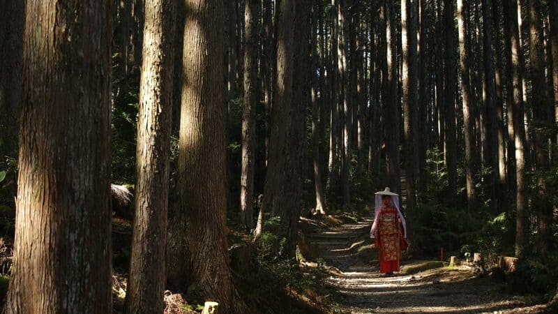 Hành hương Kumano Sanzan, gồm Hongu Taisha, Hayatama Taisha, Thác Nachi Taisha và đền Nachisan Seiganto-Ji, thu hút du khách qua những con đường núi hiểm trở.