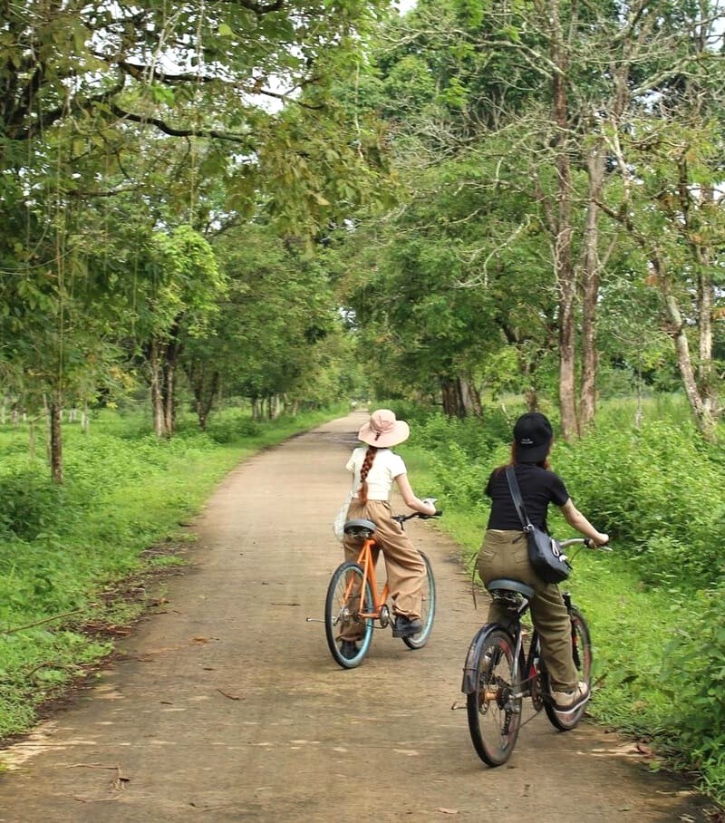 Khám phá Vườn quốc gia Nam Cát Tiên bằng xe đạp!