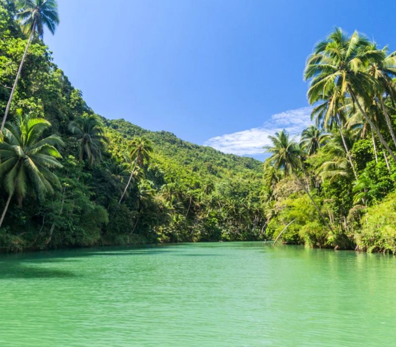 Bohol đẹp như tranh vẽ với đường bờ biển dài 261km (Ảnh: National Geographic).