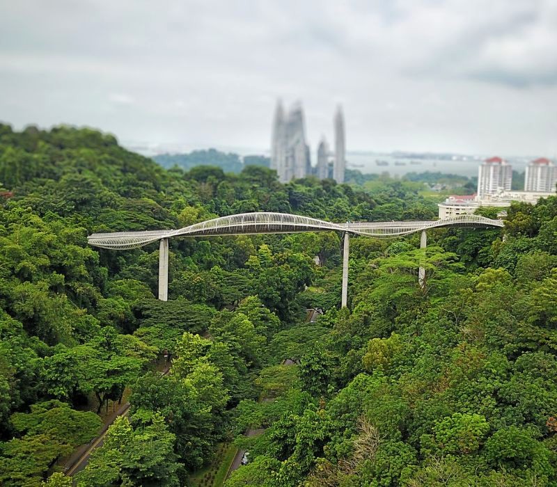 Cầu Henderson Waves độc đáo, uốn lượn như những con sóng. (Ảnh: Kenneth Cheong)