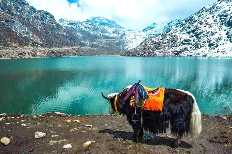 Nằm giữa Tây Tạng, Bhutan, Nepal và Tây Bengal, Sikkim là một thiên đường ẩn mình giữa dãy Himalaya.