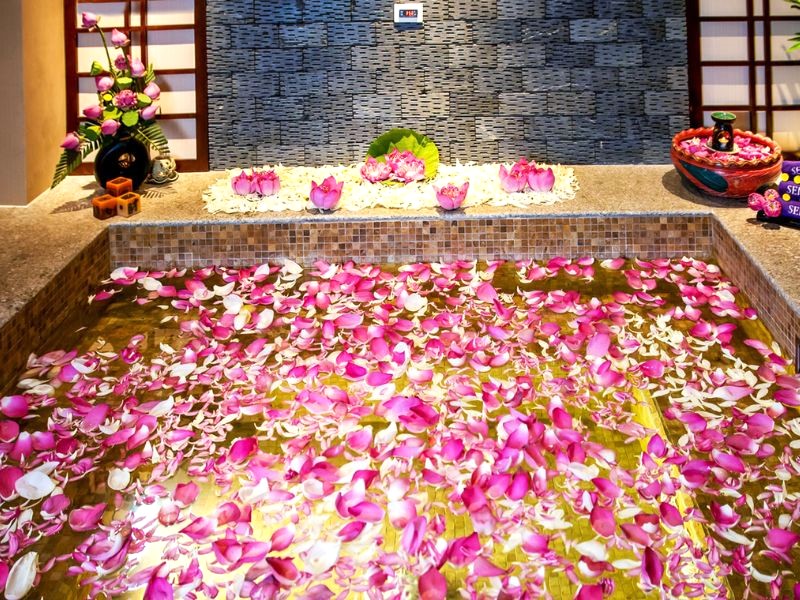 Thư giãn với hoa sen tại Sen Spa.