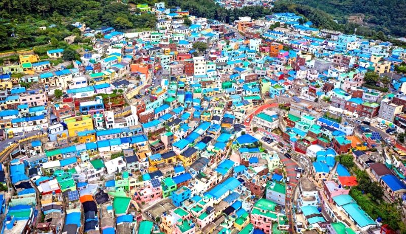 Làng văn hóa Gamcheon ở Busan, Hàn Quốc, là một mê cung đầy màu sắc của những ngôi nhà nhỏ xinh nằm trên sườn đồi.