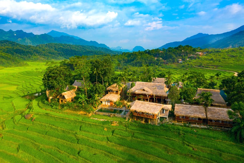 Pù Luông Natura: Bungalow thơ mộng, view đồng lúa xanh mát, mang đến sự bình yên.