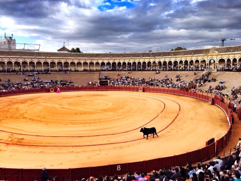 Plaza de Toros de la Maestranza là địa điểm tổ chức các trận đấu bò tót kịch tính nhất trong lễ hội đấu bò tót nổi tiếng của Tây Ban Nha. (Ảnh: g2rail)