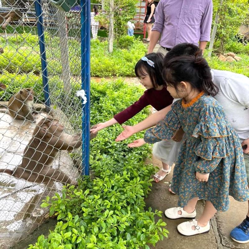 Khám phá thế giới động vật tại Vườn thú Glory Farm, nơi trẻ em được tiếp xúc gần gũi!