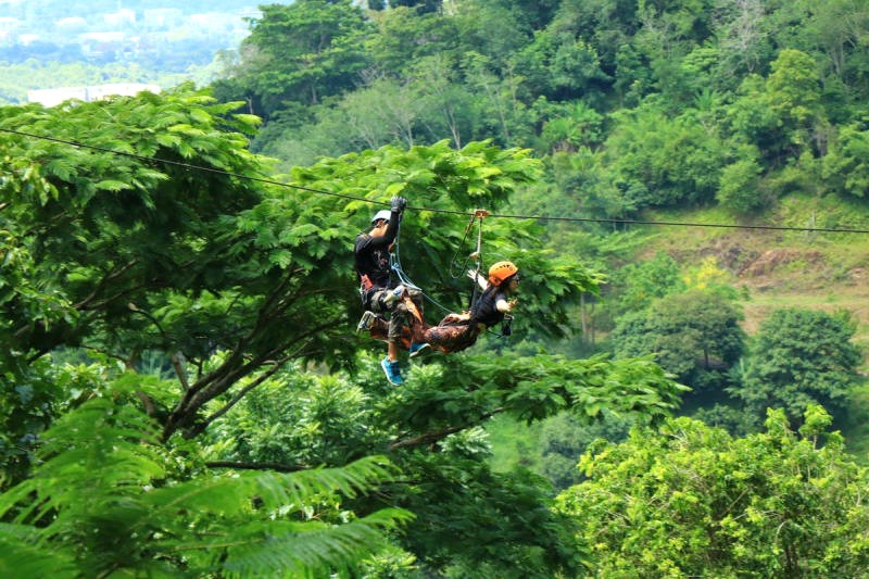 Khám phá Kong Forest: Những kinh nghiệm bạn không thể bỏ qua. (Ảnh: Kong Forest)