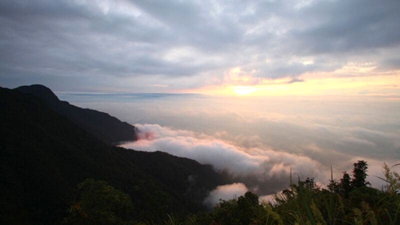 Đỉnh Rùng Rình: điểm hẹn trekking cho giới trẻ.