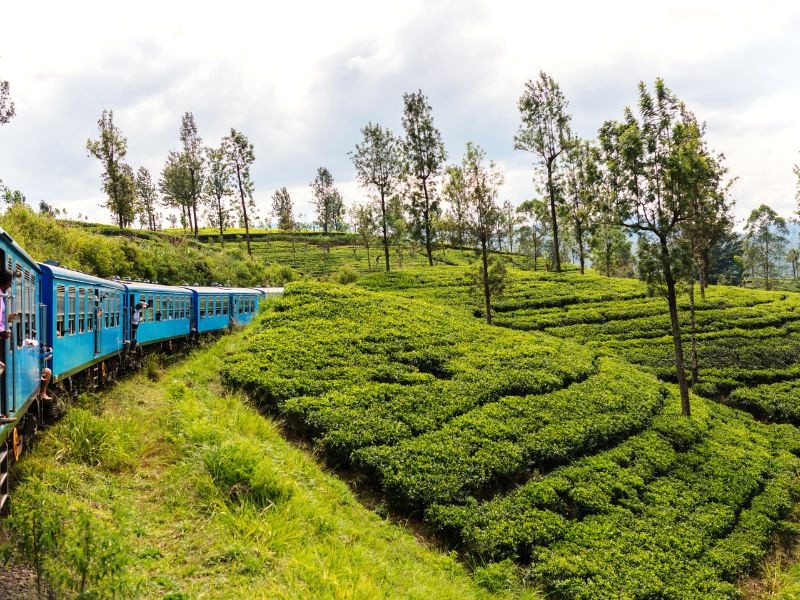 Thị trấn thơ mộng, thiên nhiên tươi đẹp. 🏞️