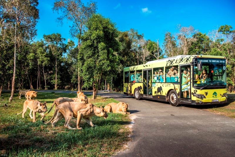 Vinpearl Safari Phú Quốc: Nơi bảo tồn động vật hoang dã lớn nhất Việt Nam.