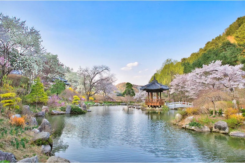 Vườn Pond mang phong cách Hàn Quốc với kiến trúc hanok truyền thống bên hồ.