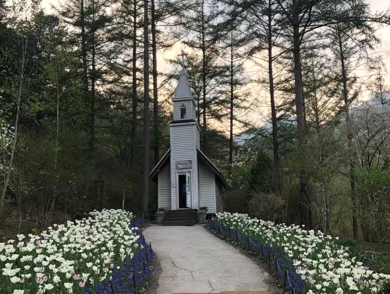 Moonlight Garden: Cảm hứng từ ánh trăng.