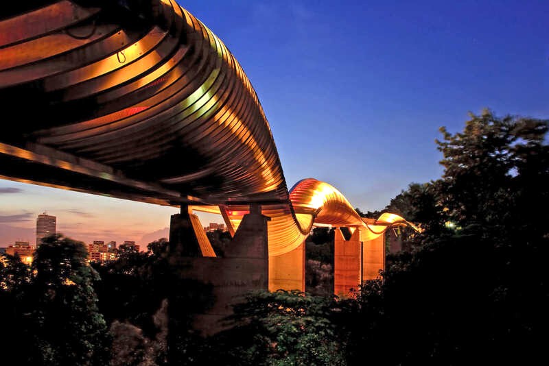 Cầu Henderson Waves, một phần của Southern Ridges, đã giành giải thưởng cho đường mòn đi bộ đường dài. (Ảnh: Vichaya Kiatying-Angs)