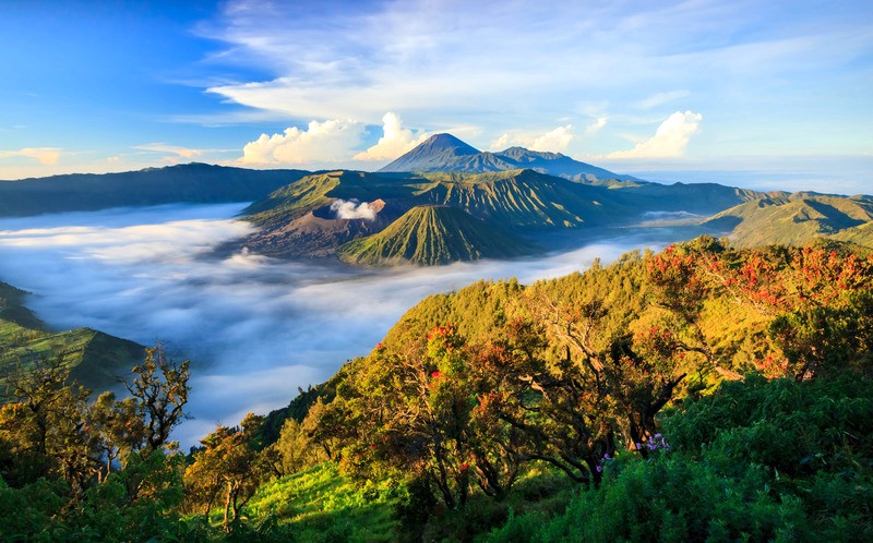 Vườn quốc gia Bromo Tengger Semeru, Senduro