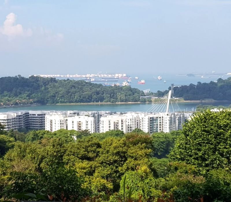 Bờ Tây lung linh từ cầu Henderson Waves, Singapore (ảnh: Richard See).