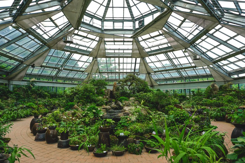 Green House: Vườn ươm đa dạng thực vật.