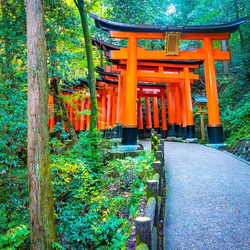 Con đường Torii đỏ rực tại đền Fushimi Inari (Ảnh: GA Telesis)