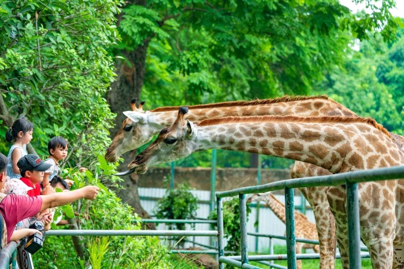 Thảo Cầm Viên: Nơi vui chơi của nhiều thế hệ Sài Gòn.