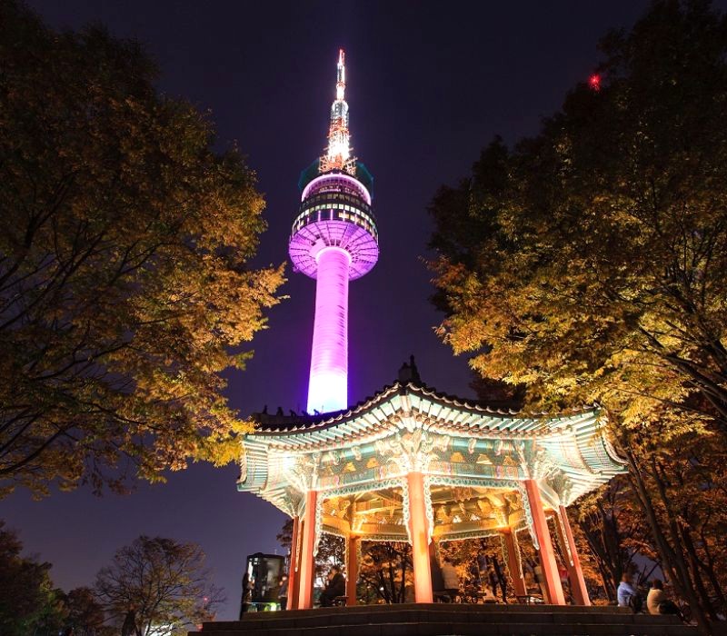 Seoul lung linh từ tháp Namsan (Ảnh: YM Education)