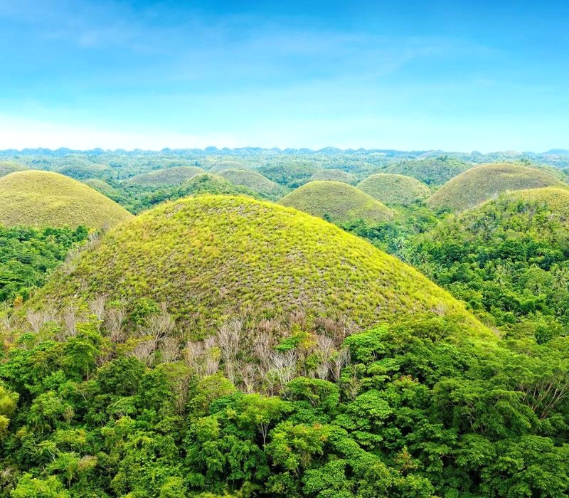 Bohol chào đón bạn với khung cảnh thiên nhiên hùng vĩ. (Ảnh: Britannica)