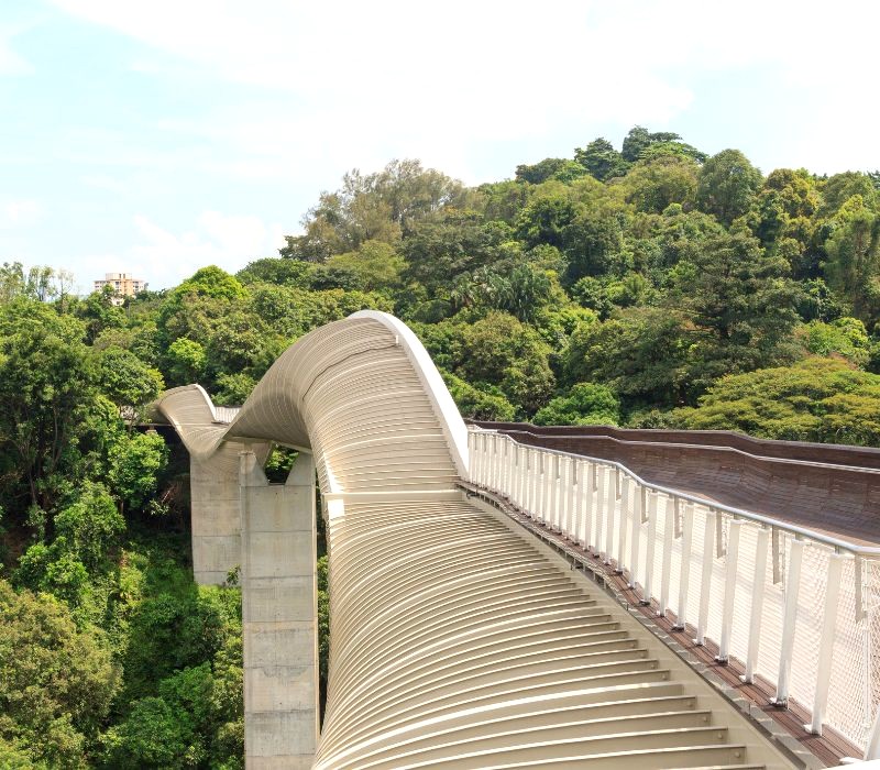 Cầu Henderson Waves nối liền Telok Blangah Hill và Mount Faber. (ảnh: johannes86)