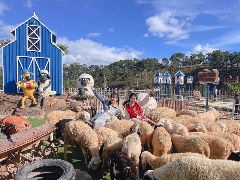 Frenzy Farm: Nơi bình yên cho tín đồ du lịch.