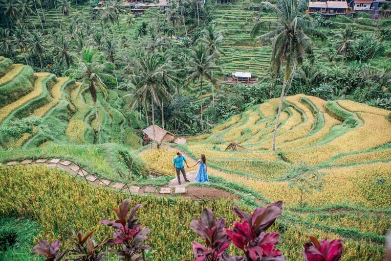 Ruộng bậc thang Tegalalang, điểm đến hút khách du lịch ở Bali.