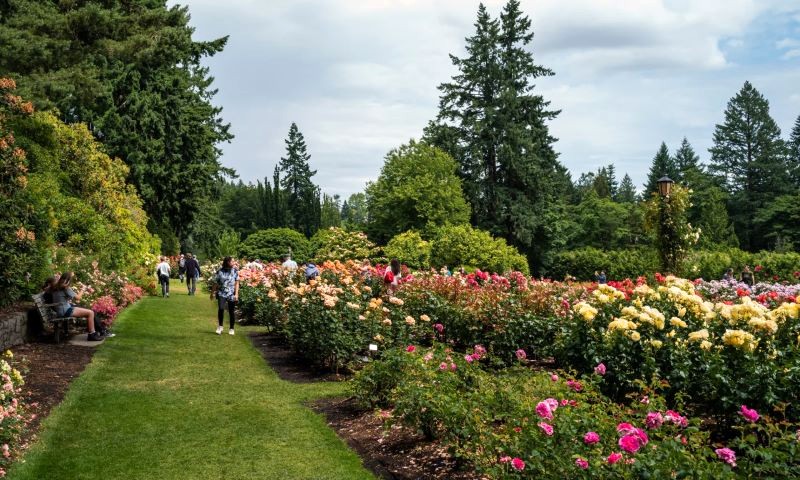 Công viên Washington, điểm thu hút hàng đầu ở Portland, thu hút du khách mỗi năm.