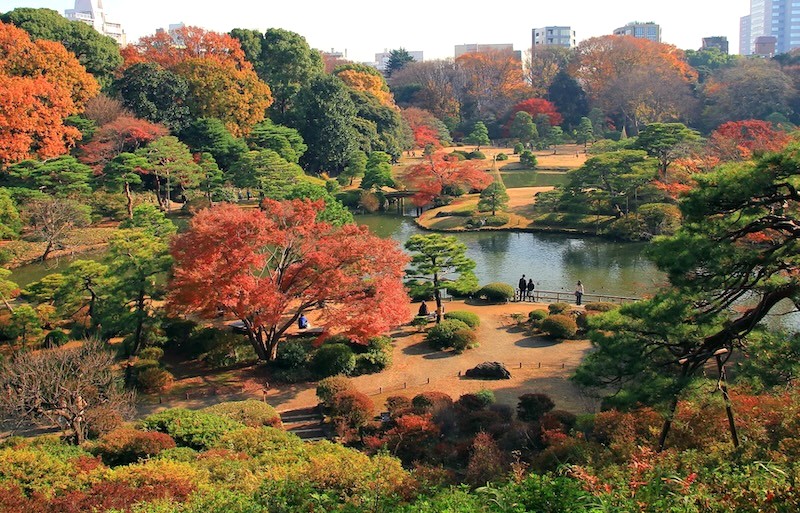 Nằm giữa lòng Tokyo, Vườn Rikugien là điểm du lịch xanh nổi tiếng. (Ảnh: imgcp)