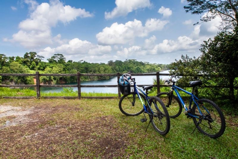 Khám phá Pulau Ubin bằng xe đạp, lướt qua những con đường mòn xuyên rừng, ngắm cảnh thiên nhiên thơ mộng. (Ảnh: kkday)