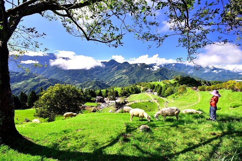 Qingjing Farm đẹp bởi cảnh quan, khí hậu ôn hòa và không gian yên tĩnh.