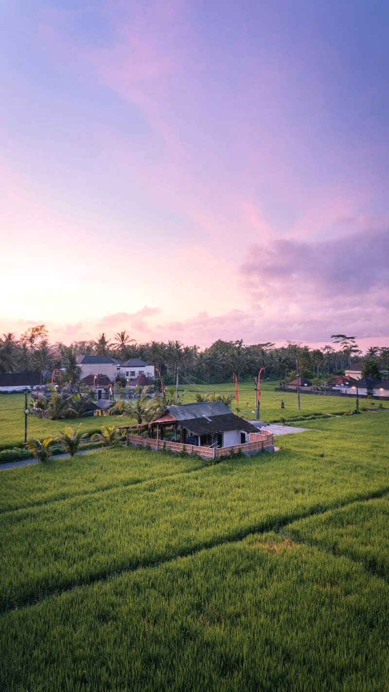 Ubud: 14 làng, du lịch phát triển nhanh.