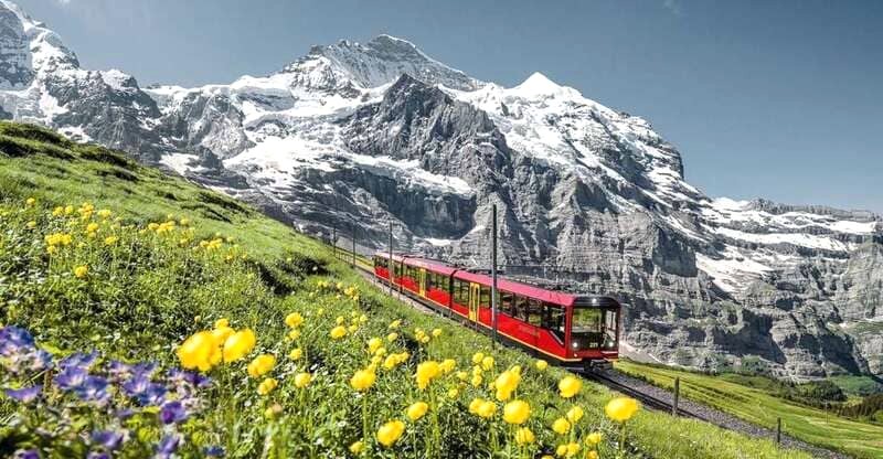 Khung cảnh ngoạn mục tại Jungfraujoch, Grindelwald sẽ khiến bạn choáng ngợp. (Ảnh: getyourguide)