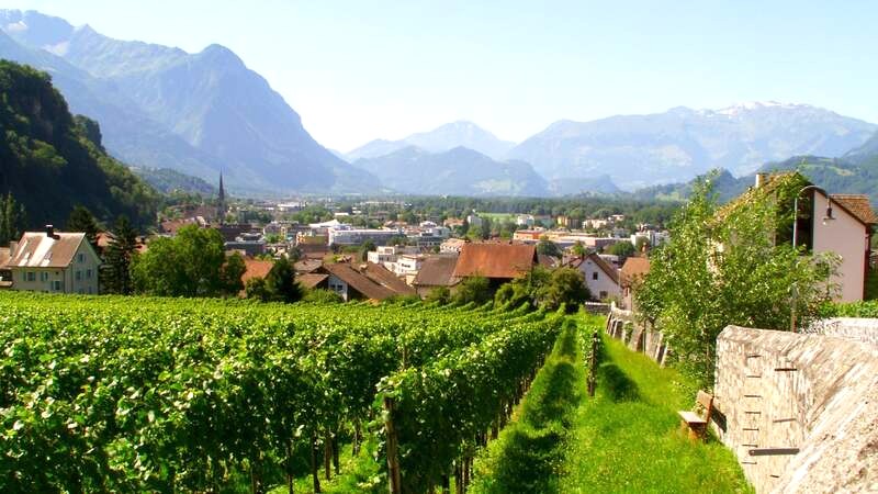 Vườn nho Liechtenstein: Đặc sản nổi tiếng của công quốc. (Ảnh: ©Svand/Shutterstock.com)