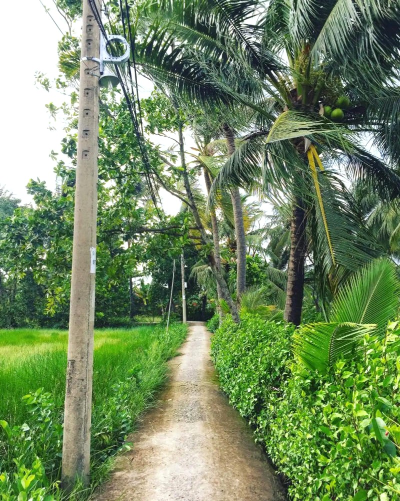 Bán đảo Thanh Đa: Lá phổi xanh, điểm đến lý tưởng của Sài Gòn.