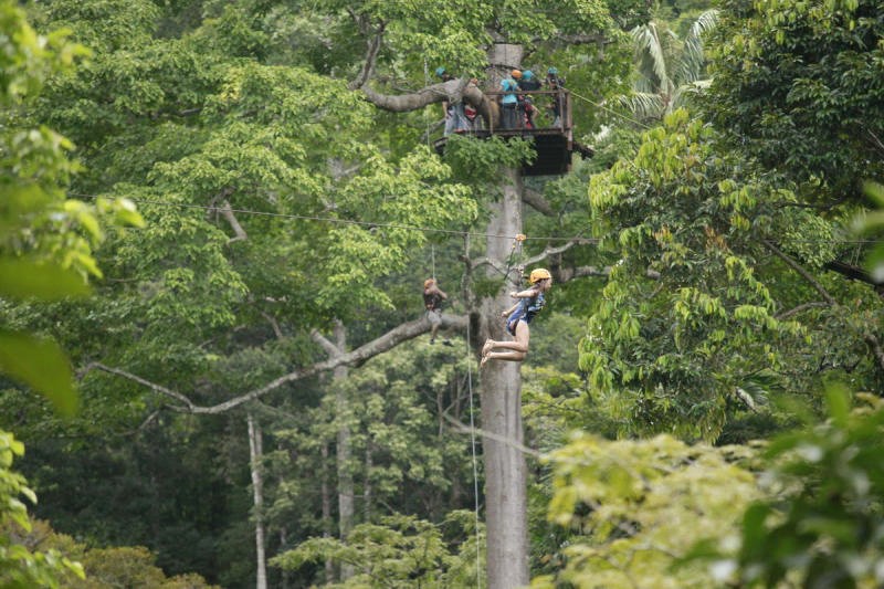 Kong Forest: Hòa mình vào thiên nhiên bao la. (Ảnh: Kong Forest)