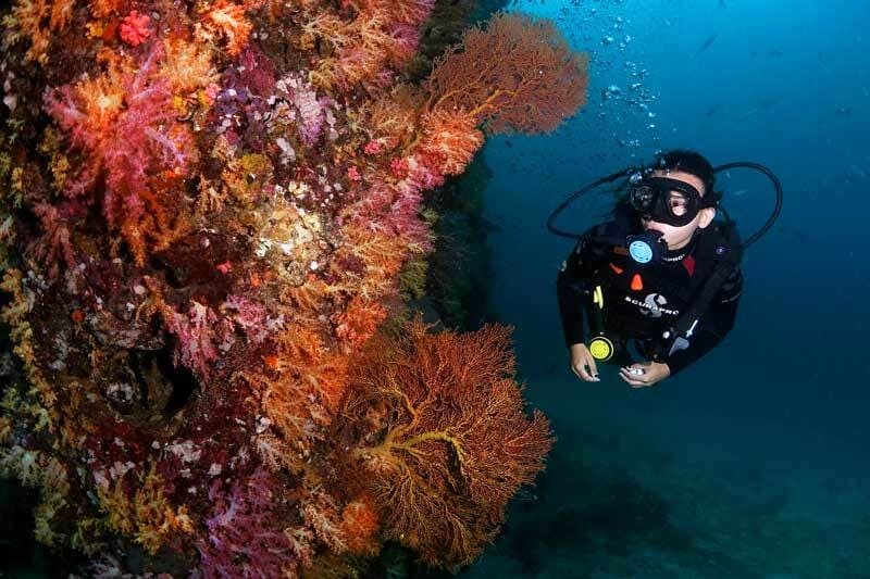 Koh Lanta: thiên đường lặn biển Thái Lan.