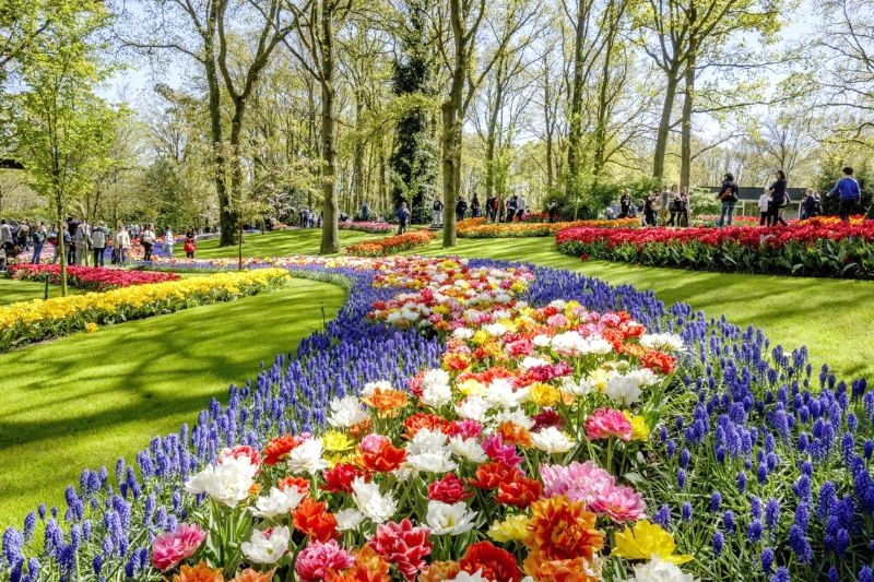 Vườn hoa Keukenhof đổi chủ đề hàng năm để thu hút du khách.